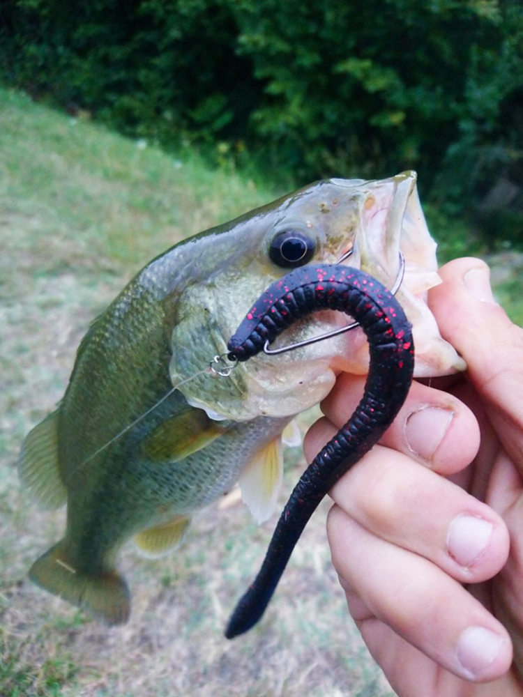 Esfishing Silicone Soft Bait T - Fishing Lure Soft Plastic review and price